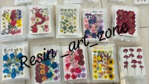 Pressed Flowers Large Packets