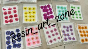 Daizy Flowers