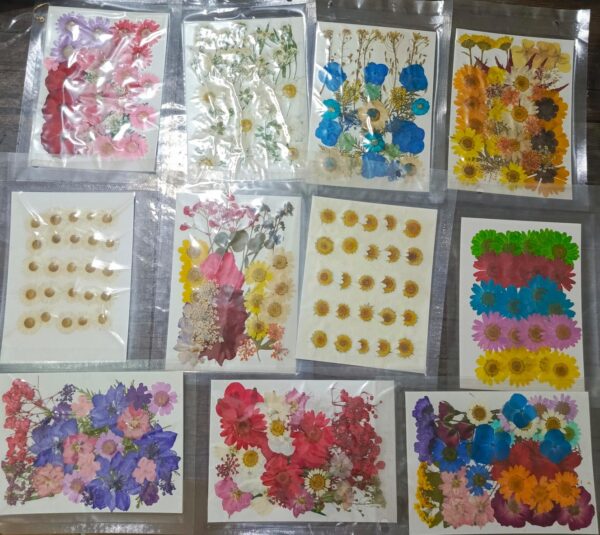 Pressed Flowers deal any 3