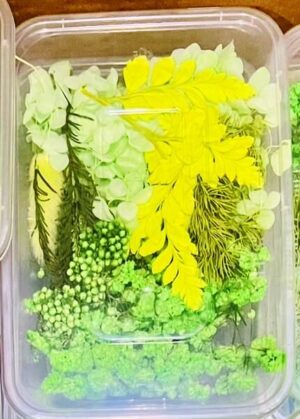 Flowers Boxes